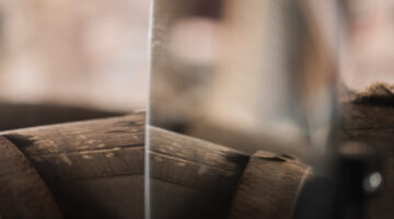 Cu Bocan - barrel reflection 2.jpg